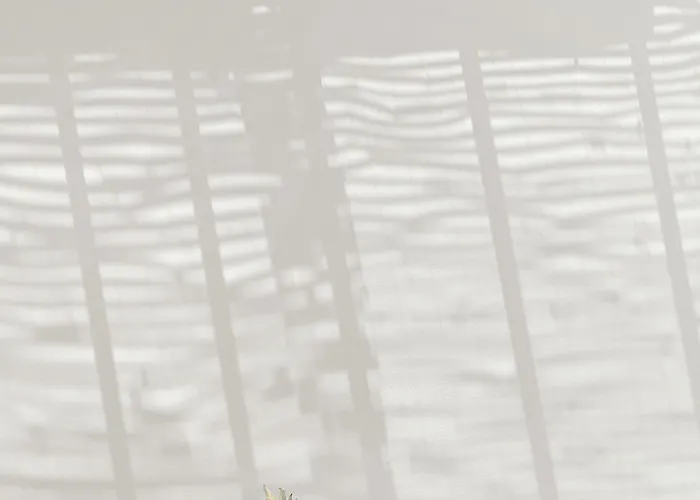 Oyster Luxury Ημεροβίγλι